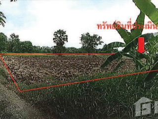 ขาย ที่ดิน ใน พิมาย, นครราชสีมา