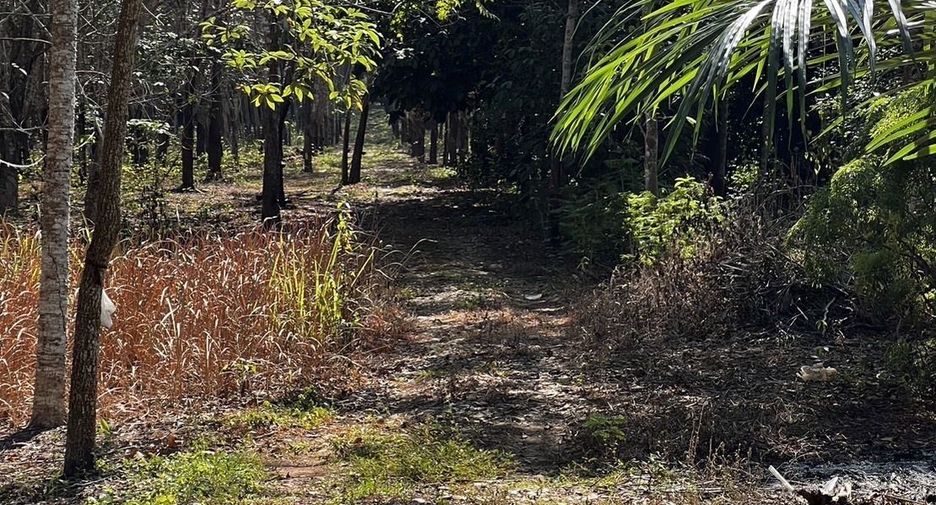 出售 土地 在 Thong Pha Phum, Kanchanaburi