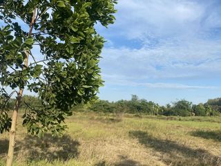 For sale land in Makham, Chanthaburi