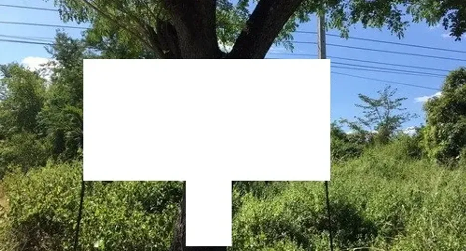For sale land in Tha Li, Loei