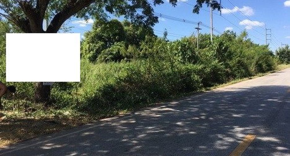 For sale land in Tha Li, Loei