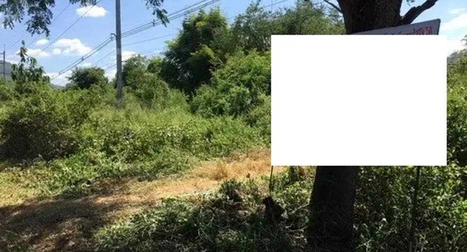 For sale land in Tha Li, Loei