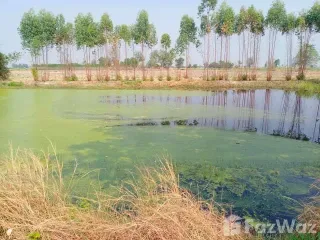 For sale land in Doem Bang Nang Buat, Suphan Buri