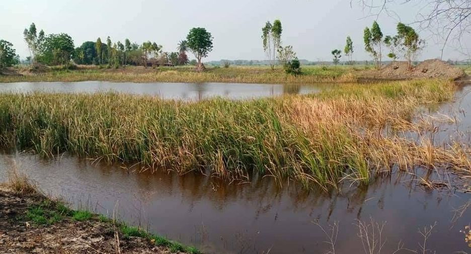 For sale land in Doem Bang Nang Buat, Suphan Buri