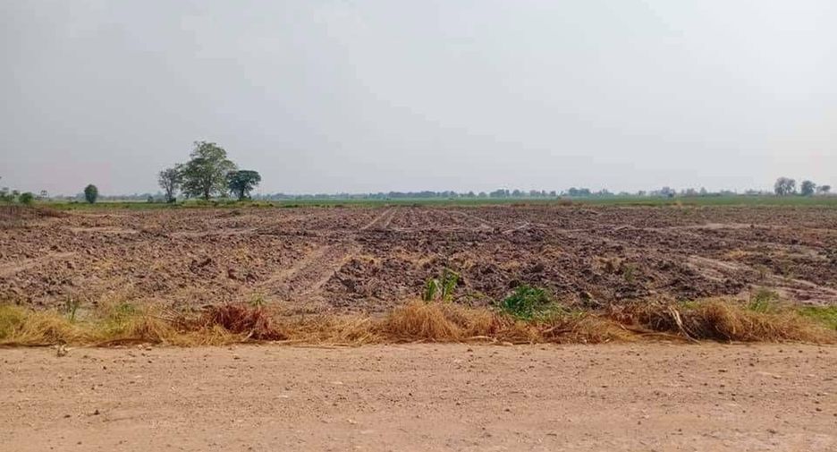 For sale land in Doem Bang Nang Buat, Suphan Buri