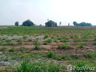 For sale land in Doem Bang Nang Buat, Suphan Buri