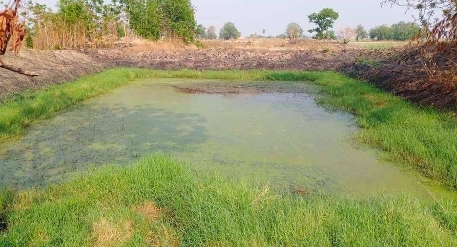 For sale land in Doem Bang Nang Buat, Suphan Buri