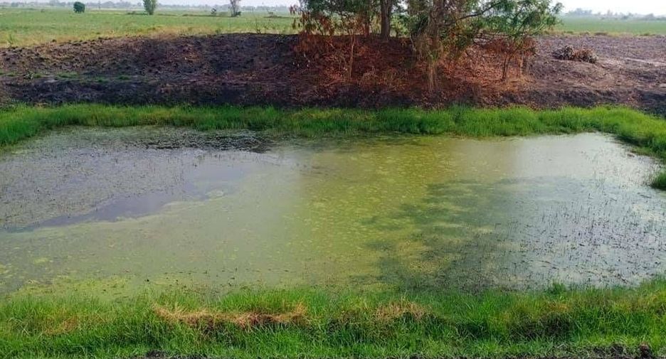 For sale land in Doem Bang Nang Buat, Suphan Buri
