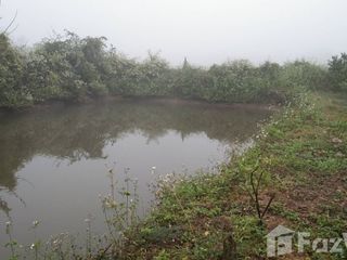 出售 土地 在 Fang, Chiang Mai