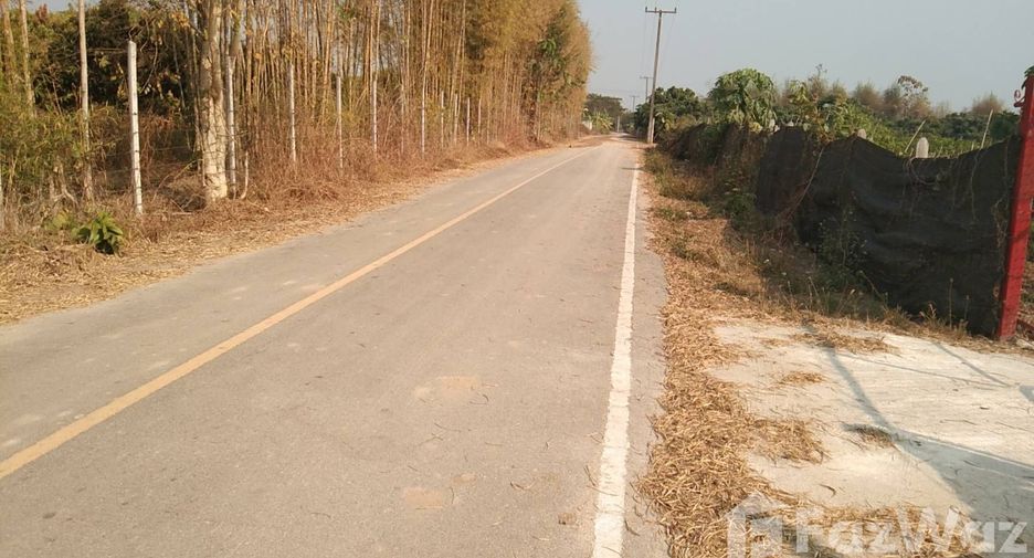 For sale land in Fang, Chiang Mai