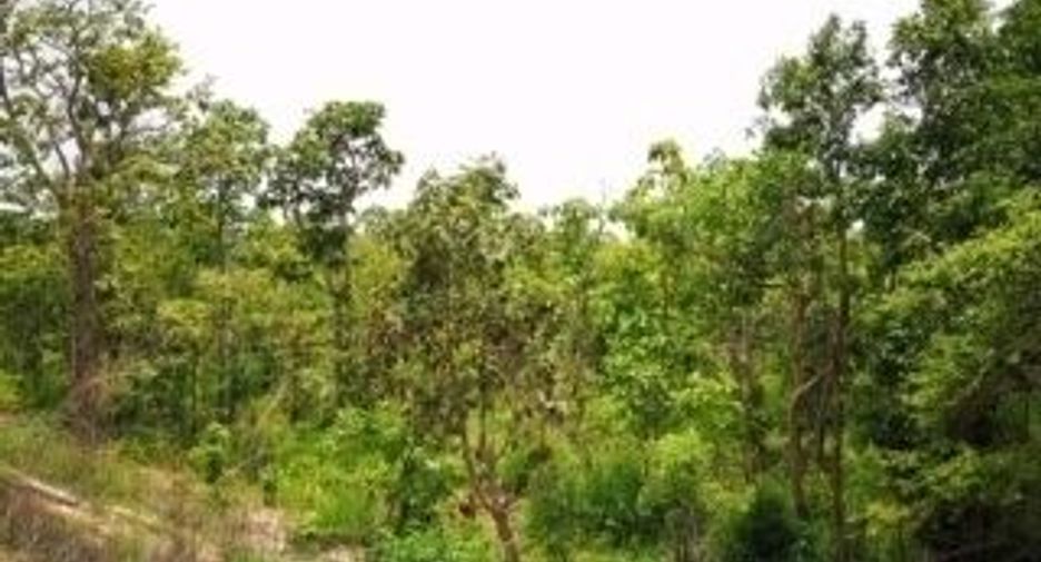 Grundstück zum Kauf in Phibun Mangsahan, Ubon Ratchathani