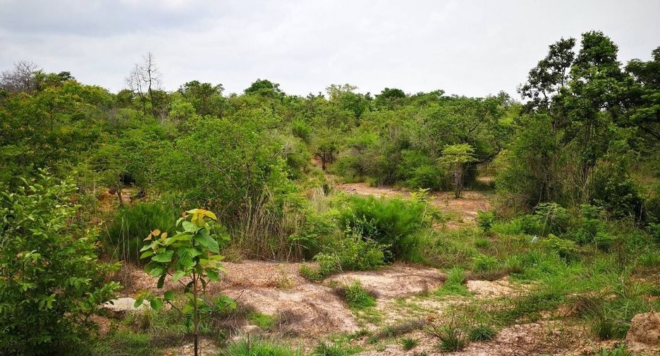 Grundstück zum Kauf in Phibun Mangsahan, Ubon Ratchathani