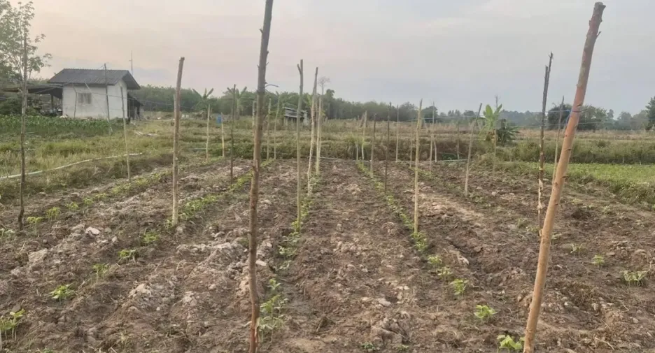 For sale land in Nam Yuen, Ubon Ratchathani
