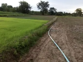Продажа Участок в Nam Yuen, Ubon Ratchathani