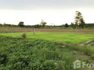 For sale land in Nam Yuen, Ubon Ratchathani