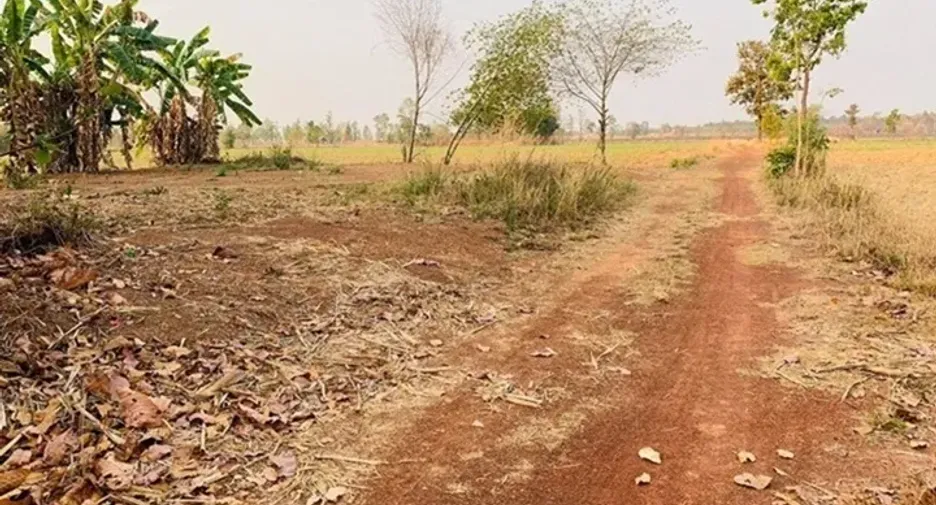 For sale land in Sawang Daen Din, Sakon Nakhon
