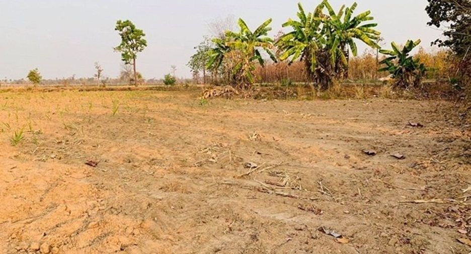 For sale land in Sawang Daen Din, Sakon Nakhon