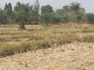 Продажа Участок в Nam Phong, Кхонкен