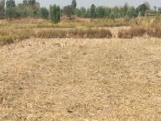Продажа Участок в Nam Phong, Кхонкен