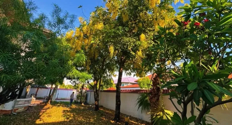 For rent 4 bedrooms house in Mueang Nonthaburi, Nonthaburi