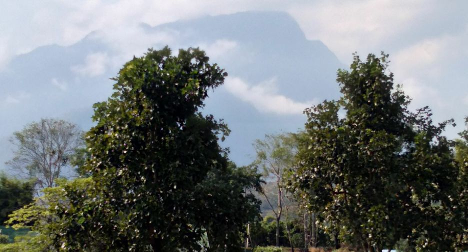 For sale 8 bedrooms villa in Chiang Dao, Chiang Mai
