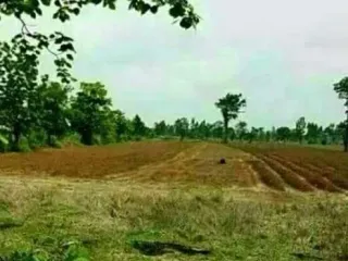 For sale land in Wichian Buri, Phetchabun