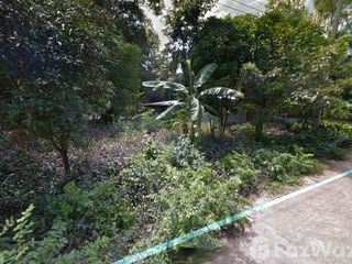 出售 土地 在 Benchalak, Si Sa Ket