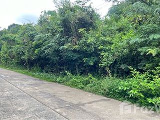 For sale land in Mueang Ubon Ratchathani, Ubon Ratchathani