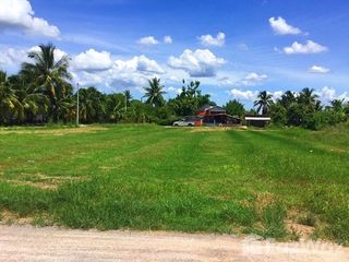 出售 土地 在 Damnoen Saduak, Ratchaburi
