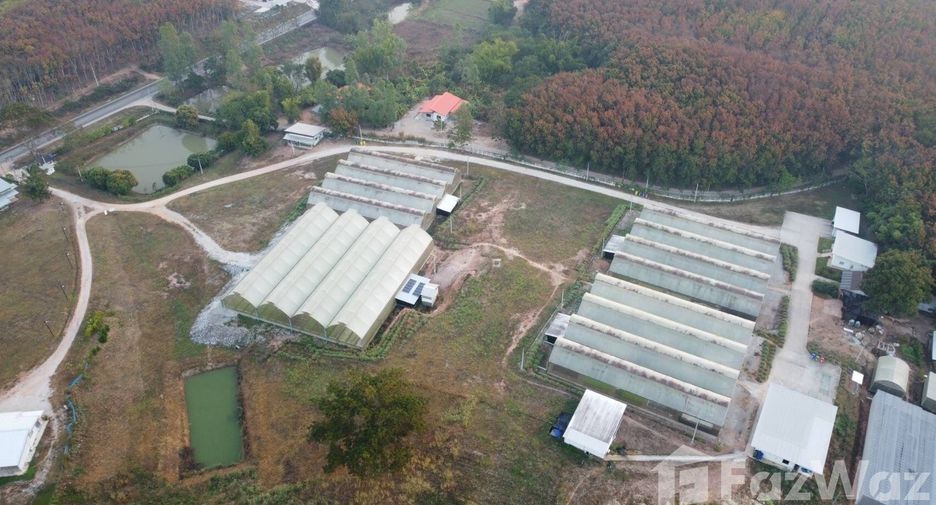 For sale land in Wang Saphung, Loei