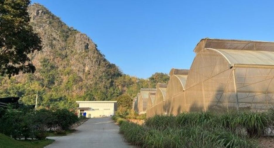 For sale land in Wang Saphung, Loei