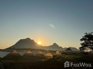 For sale land in Wang Saphung, Loei