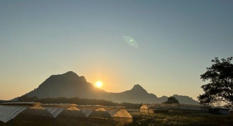 For sale land in Wang Saphung, Loei