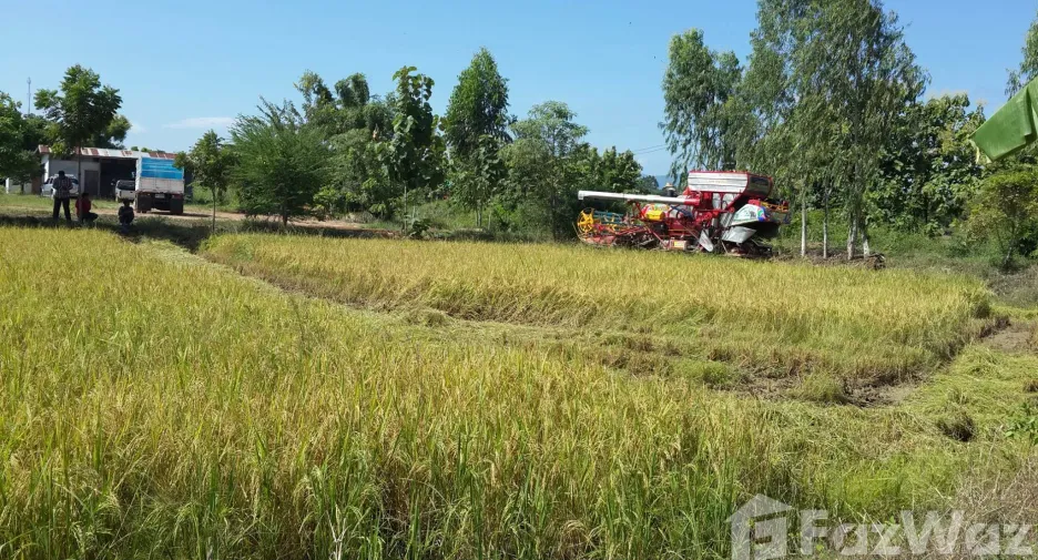 For sale land in Mueang Sukhothai, Sukhothai