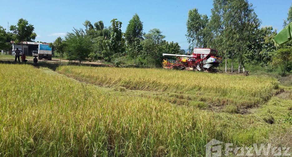 For sale land in Mueang Sukhothai, Sukhothai