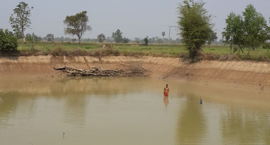 For sale land in Mueang Sukhothai, Sukhothai