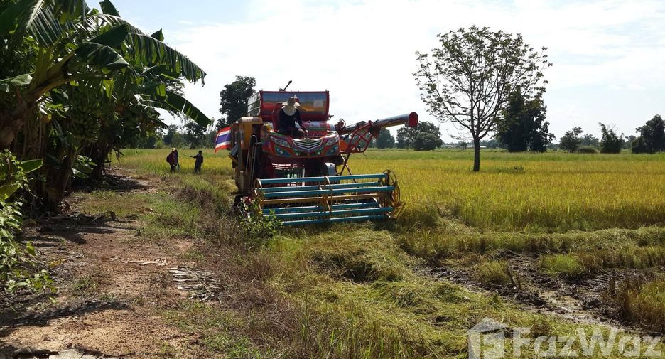 For sale land in Mueang Sukhothai, Sukhothai