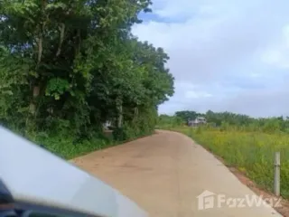 Grundstück zum Kauf in Nong Ya Plong, Phetchaburi