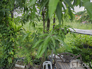 For sale land in Bueng Kum, Bangkok