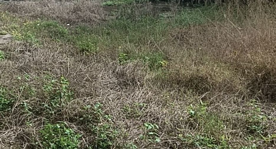 For sale land in Mueang Surat Thani, Surat Thani