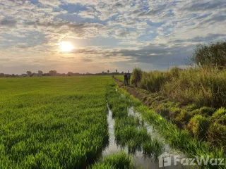 出售 土地 在 In Buri, Sing Buri