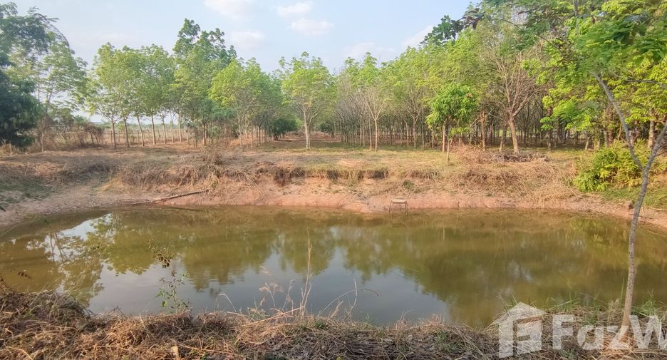 For sale land in Mueang Nongbua Lamphu, Nong Bua Lamphu