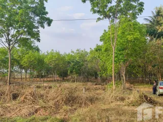 For sale land in Mueang Nongbua Lamphu, Nong Bua Lamphu
