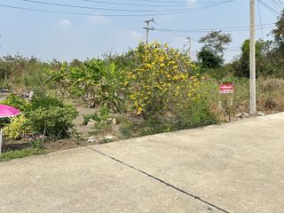 For sale land in Sam Khok, Pathum Thani