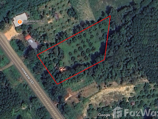 For sale land in Pua, Nan