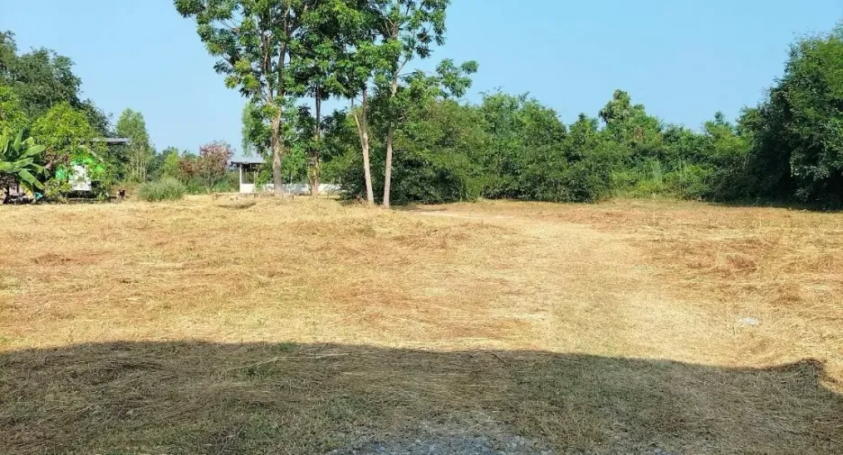 For sale land in Kaset Sombun, Chaiyaphum