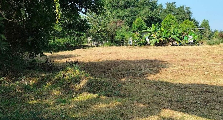 For sale land in Kaset Sombun, Chaiyaphum