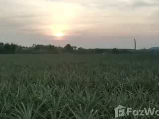 Продажа Участок в Ban Bueng, Чонбури