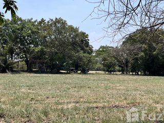 Terreno en venta en Bang Phli, Samut Prakan
