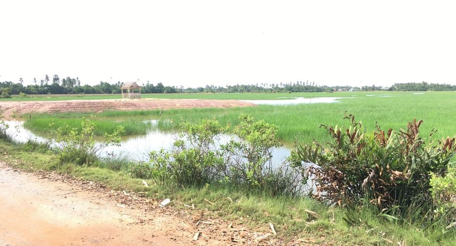 For sale land in Mueang Pattani, Pattani